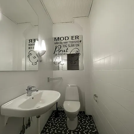 Aday - Large Terrace And 2 Bedrooms Apartment In The Heart Of Randers Exterior photo